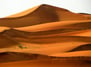 Desierto de Egipto