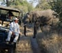 Tourists on a Safari in South Africa