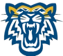 Andrew college logo