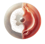 logotipo da RETINAI