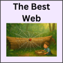 Find out what makes a web the very best in this short E CVC decodable story! Readers will love pract