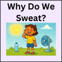Discover why our bodies sweat in this nonfiction short E CVC decodable story! Perfect for curious mi