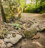 tombeau de merlin foret de broceliande
