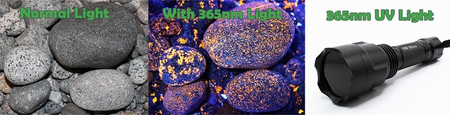 Yooperlite rocks showing with normal light and under 365nm uv light.