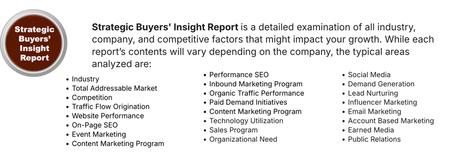 Strategic Buyers's Insight Report