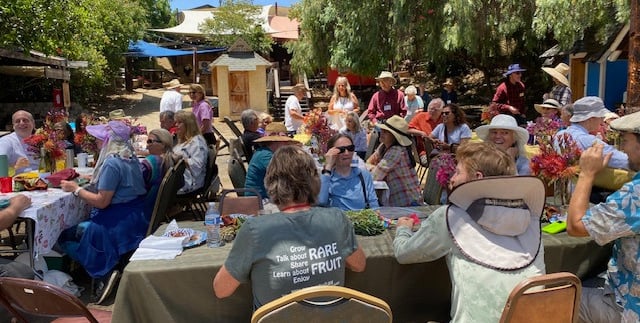 Tables outside with potluck attendees enjoying lunch