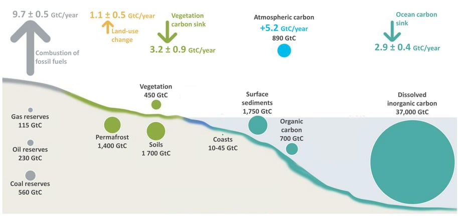 Illustration of the main global carbon stocks and fluxes