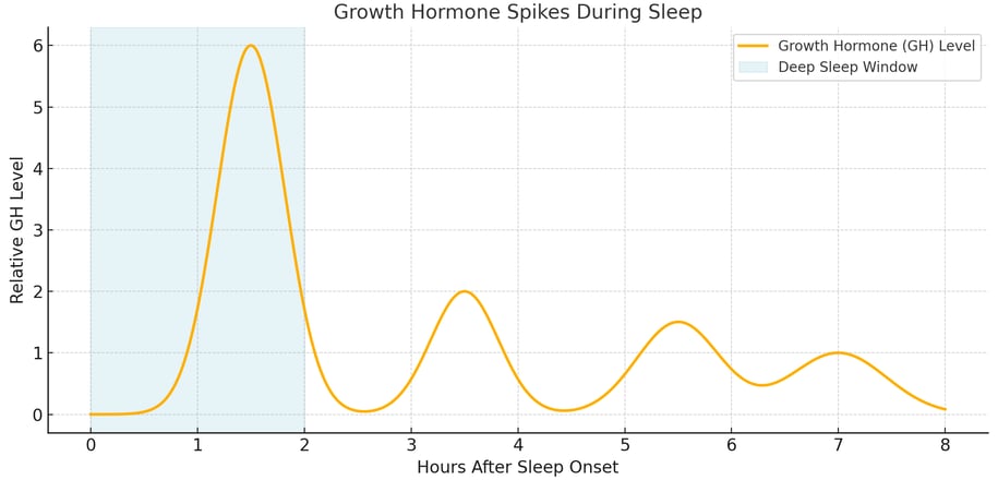 A graph of a Growth Hormone Spike During Sleep