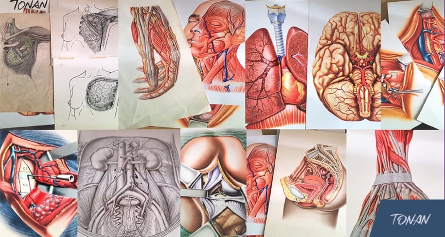 ilustracao medica
