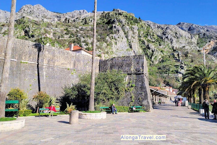 City wall in Old town Kotor with fortifications seen hanging on a steep 🗻 with a castle on the top 