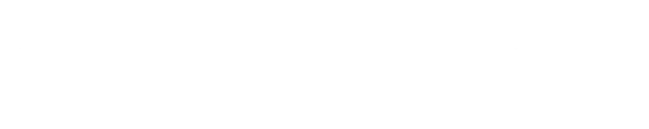 MR AFROPOLITAN logo