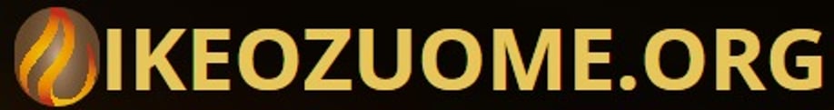 IKE OZUOME MINISTRIES BIBLICAL PERSPECTIVE BLOG logo