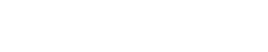 LeadToImage logo