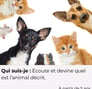 a group of cats and dogs are shown in this image