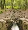 la fontaine de barenton foret de broceliande