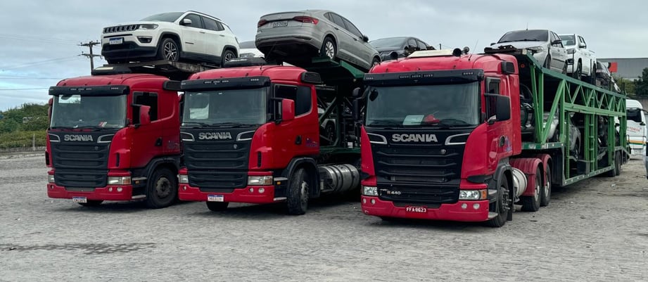 ClubeCar Transporte de Veículos em Carreta Cegonha Para Todo o Brasil com Seguro
