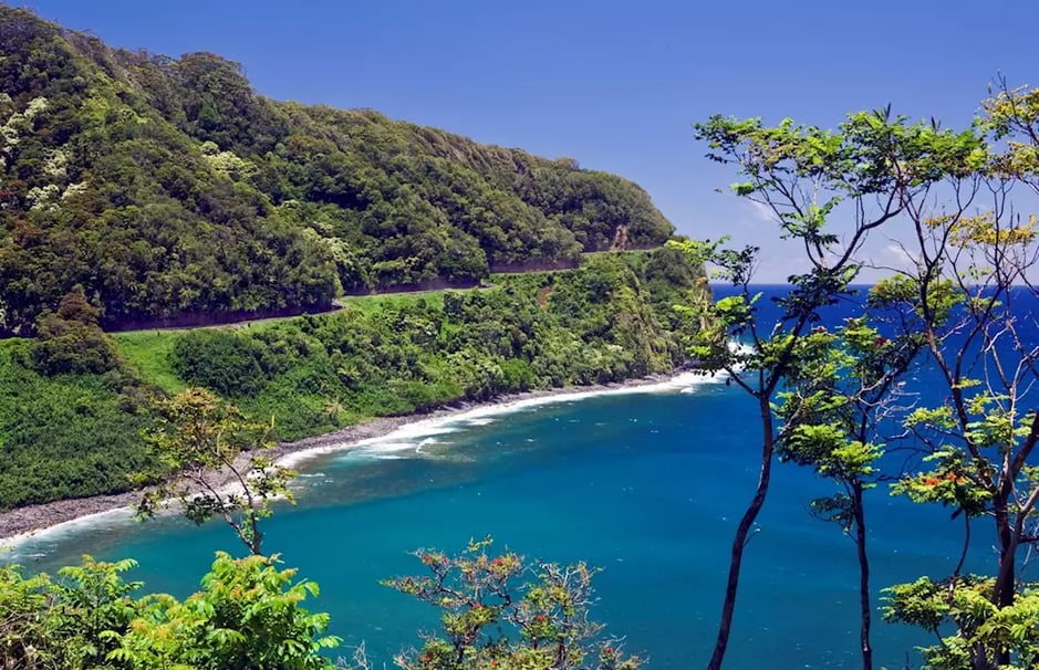 Maui Hawaii tropical highway