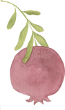 pomegranate drawing on a stem