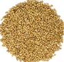 Coriander trader