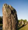 menhirs de monteneuf foret de broceliande
