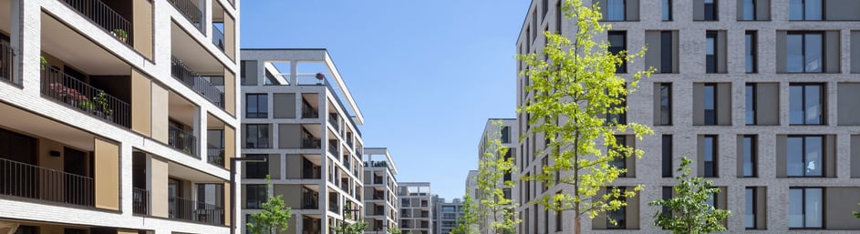 Image of a Real Estate Development