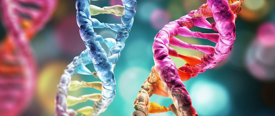 Y chromosome on life