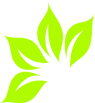 a green leafy plant with a cross on it