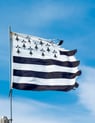 a flag - like flag with a star spangled flag
