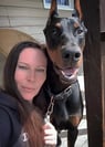 doberman puppies for sale