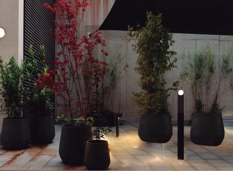 jardín nocturno iluminado