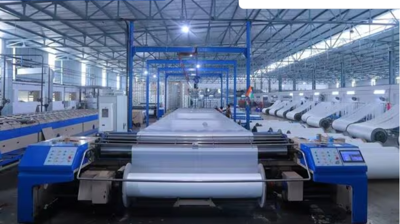 Borana Weaves Share Price