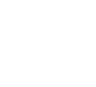 Digitalcogni logo