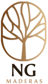 NG logo