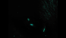 Cinematic motion still - glowing neon green reflected on hound dog's eyes
