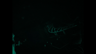 Visual from sneaker themed animation - slow reveal of canine shoe design
