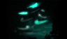 Sneaker flash animation - Sneaker floating and glowing