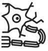 Motor Neurone Disease