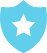Shield Icon