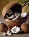 Fragrance noix de coco