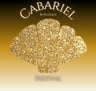 Cabariel Burlesque Festival