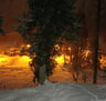 a snowboarder is coming down a snowy hill