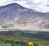  a yellow tent in the mountain background
