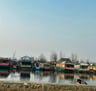 group of houseboats and shikara on lake in srinagar