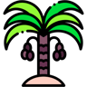 Desert Projects
