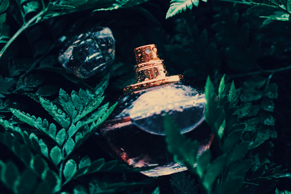 eau de toilette herbal