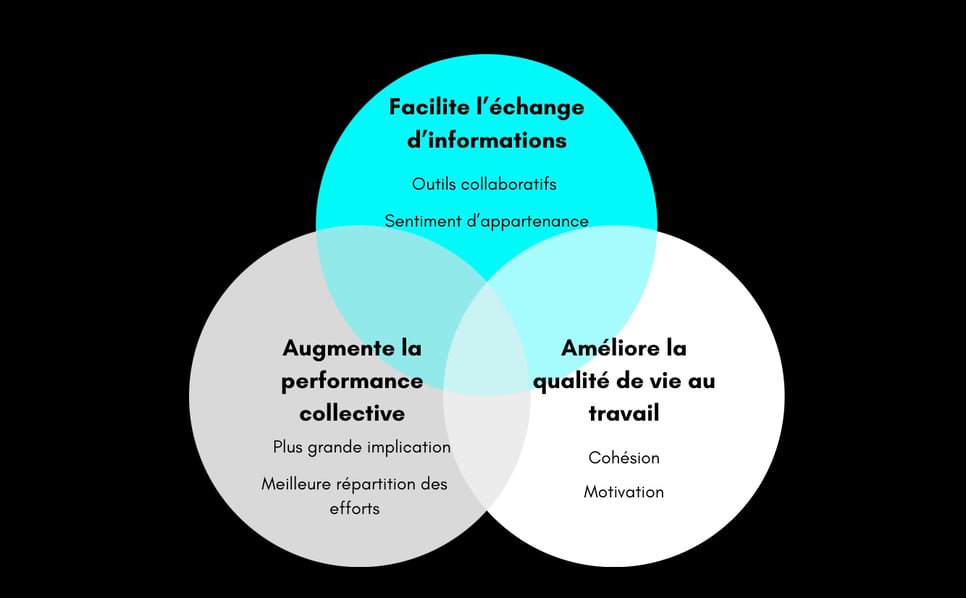 schéma communication interne