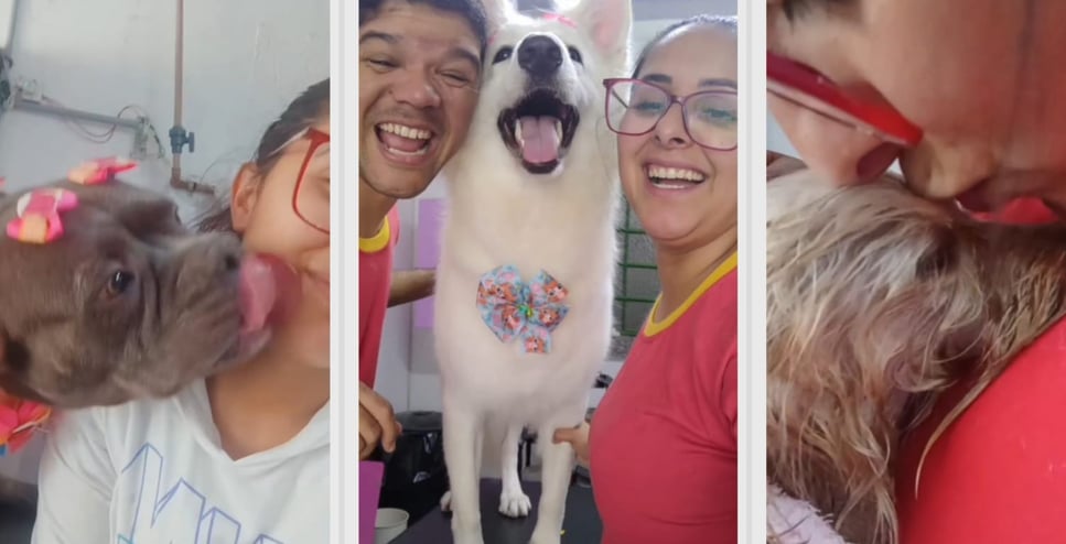 os proprietarios da miau banho e tosa com seus clientes lindo