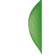 Feuille - bord entier