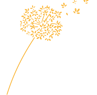 fleur jaune et pétales qui s'envolent