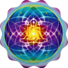Divine Soul - The Universe Hear's You logo